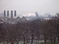 Snow, Greenwich Park IMGP7608